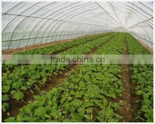 Insect net fiberglass insect nets for greenhouse