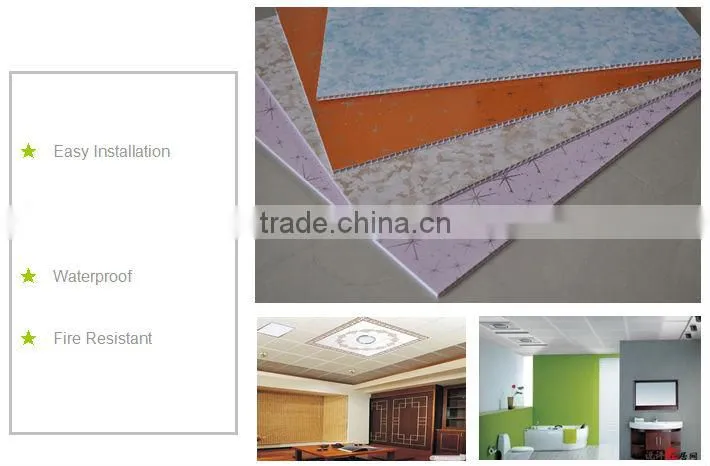 Plastic building material for interior decoration (haining factory)
