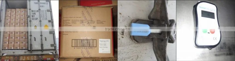 China high quality IQF FROZEN GREEN PEA