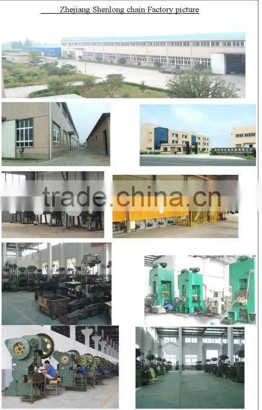 Short pitch duplex roller chain 100-2 with dacromet plated