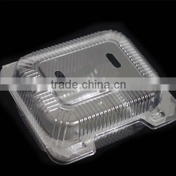 Blueberry Plastic fruit container