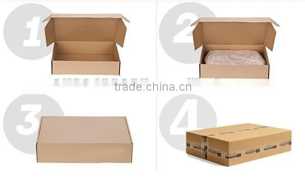 Carton Box for Handbags