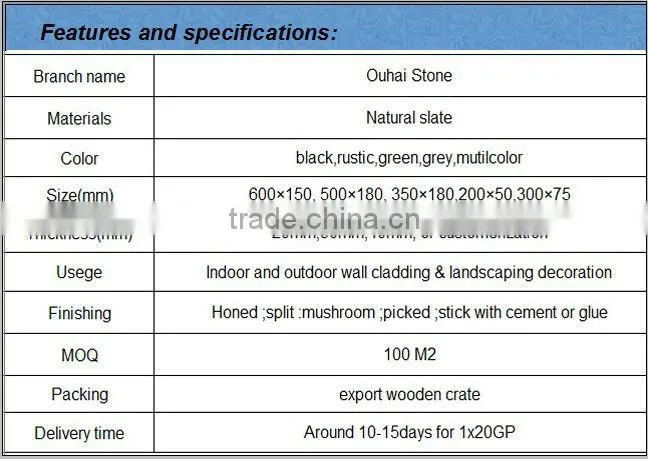 Natural decorative slate stone wall panel