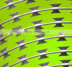 Galvanized 16*16 & 16*18 barbed wire fence(Anping)