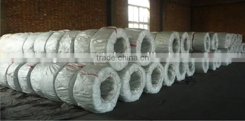 Hot Dipped Galvanized Steel Wire