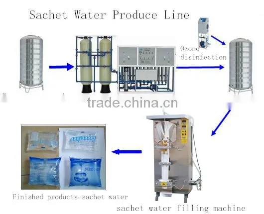 sachet plastic bag water packaging machine Liquid packing equipment