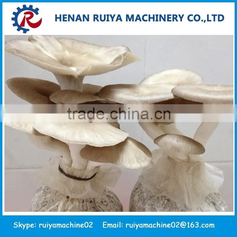 Best Seller mushroom machine | mushroom bigging machine