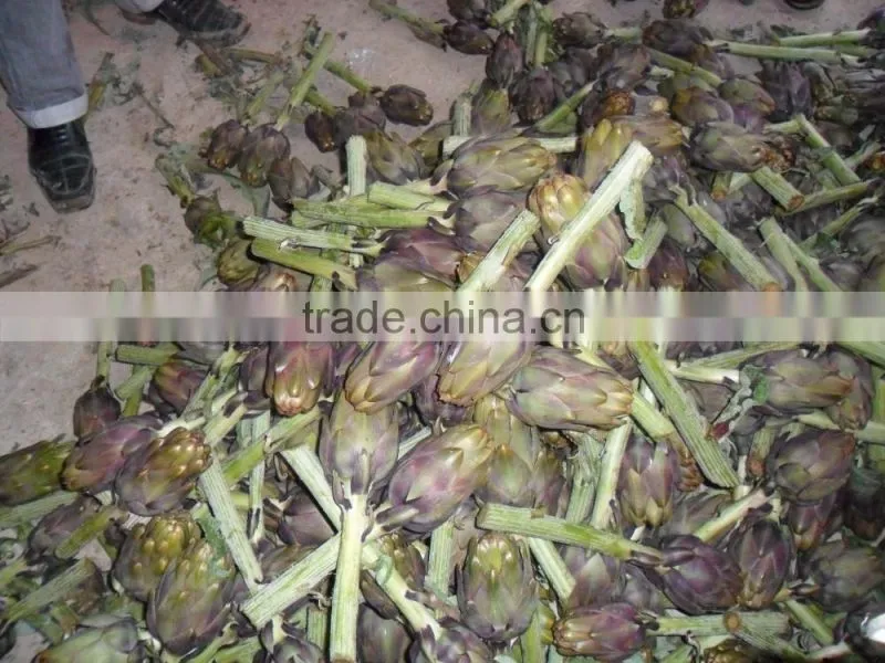 Artichokes