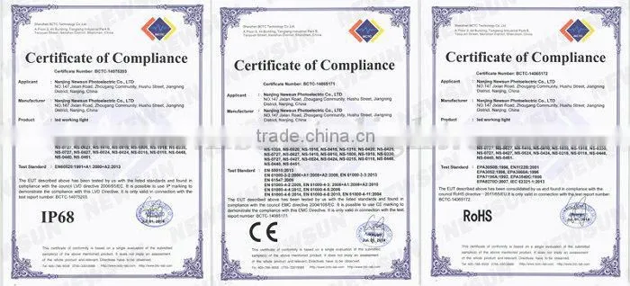 2pcs/Lot Top Quality LED Number License Plate Lamp for N issan Livina Bra Make/C-Gear/Grand Livina PH