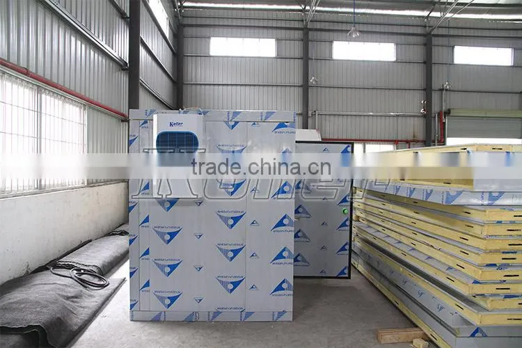 easy installation cold chiller room with mono block condensing unit