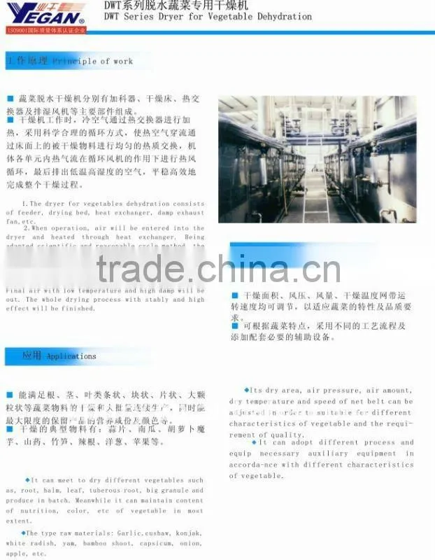 DWT Series Vegetable Dehydration Dryer
