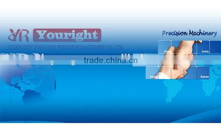 Linear guide rail with linear guide bearing