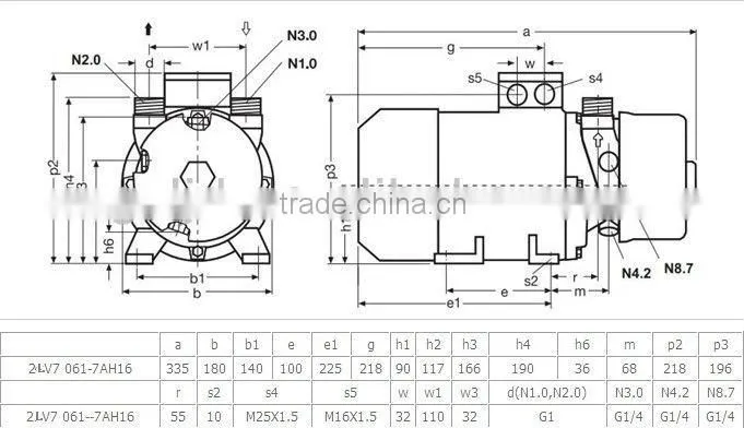 2LV61-H06,rotary ring vacuum pump,oil-free vacuum pump