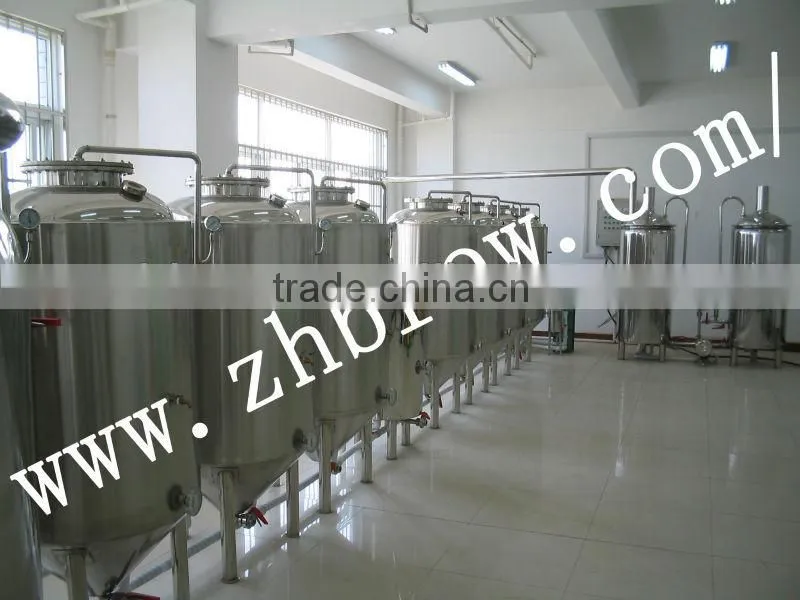 500l SUS304 conical fermenter/beer fermenter CE ODM manufacturer