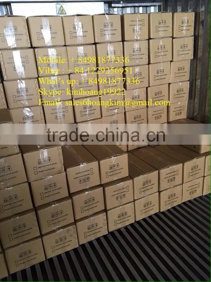 SWEET POTATO/ EXPORT IN HOANG KIM VIET NAM EXPORT IMPORT COMPANY