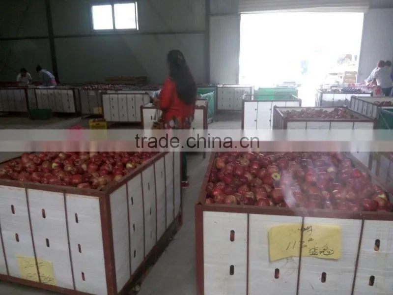 shanxi qinguan Apple