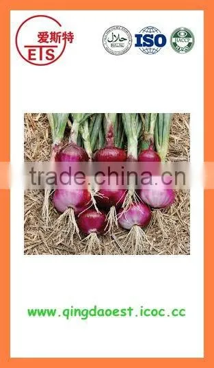 Export Fresh new crop red yellow onion
