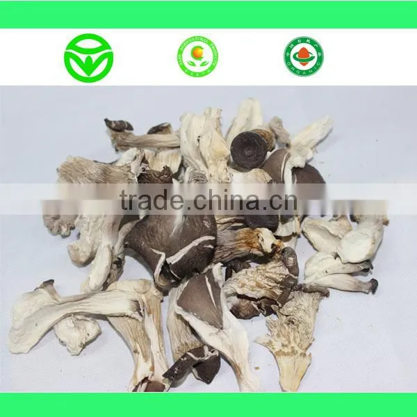 High Quality Dry Mushroom