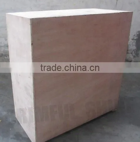 2013 industrial steam cleaner