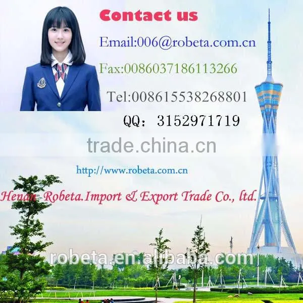 2015 new style electric generator