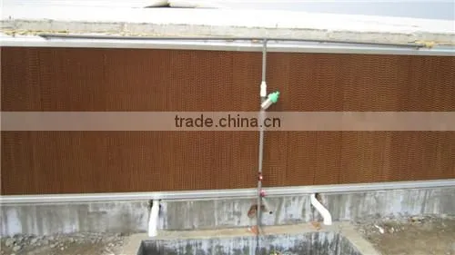 Hot sale!automatic broiler feeding system