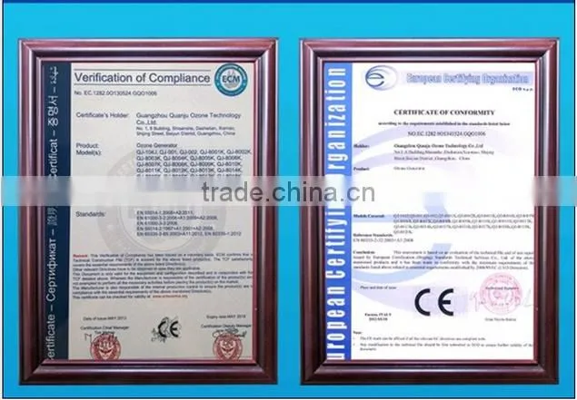 Industrial meat fruit vegetable sterilizer fresh water ozone machine