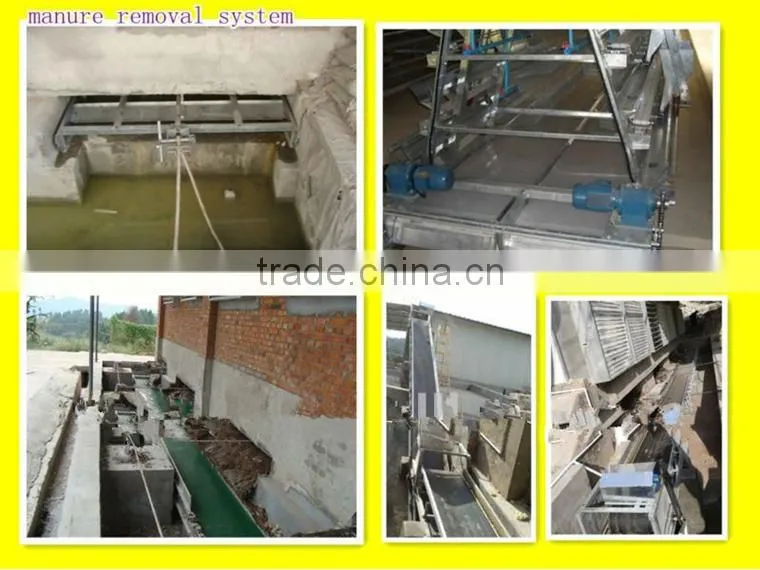 hot sale H type(6-tier) quail cage