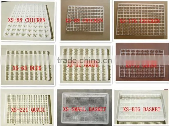XSA-1 221 quail eggs incubator and hatchery machine Australia