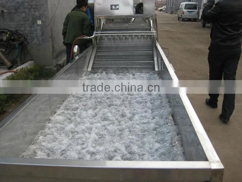 Fruit and Vegetable Washing Machine