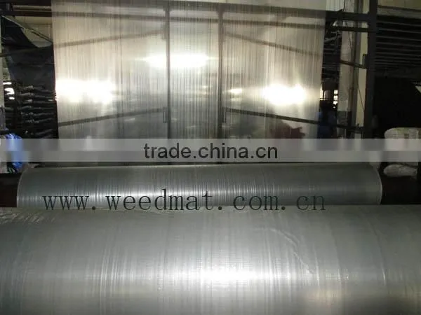 covering pe tarpaulin (tarp weed matting woven cloth)