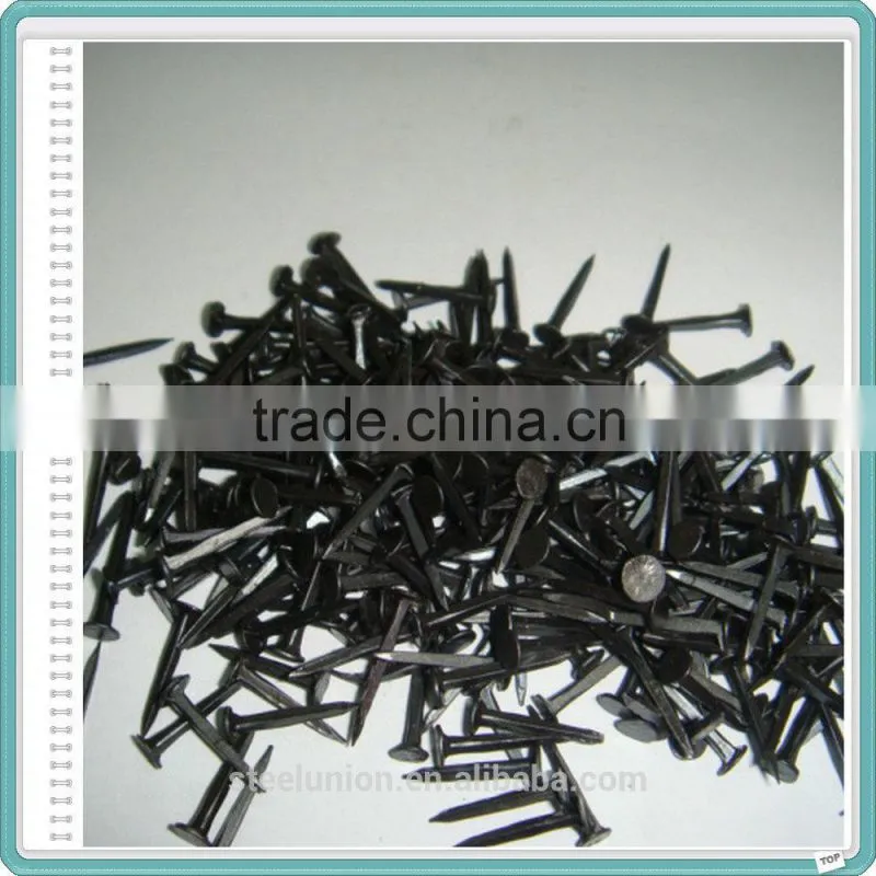 Bulk Different Size Blue Shoe Tack Nail