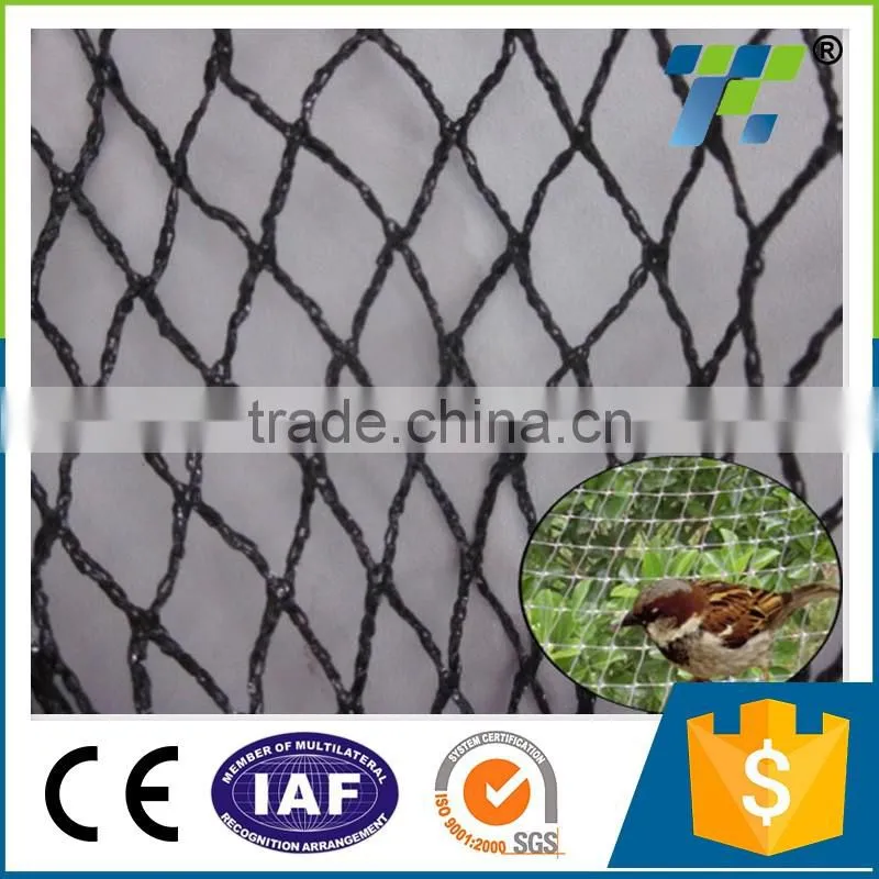 Plastic Mesh HDPE Knitted vineyard anti bird protection net with UV protection