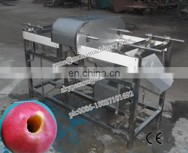 0086-18037101692 Fruit peeling machine_fruit skin remover_fruit and vegetable peeling machine
