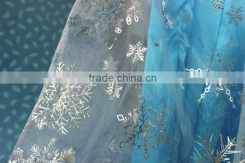 Wholesale frozen elsa coronation dress costume cosplay for adult