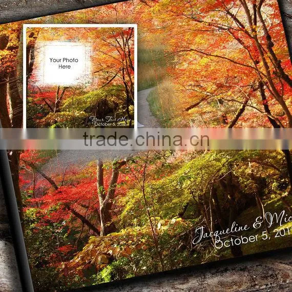 self-adhesive paper photo album
