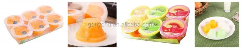 Assorted Fruit Pudding Jelly/jelly Candy Production Line