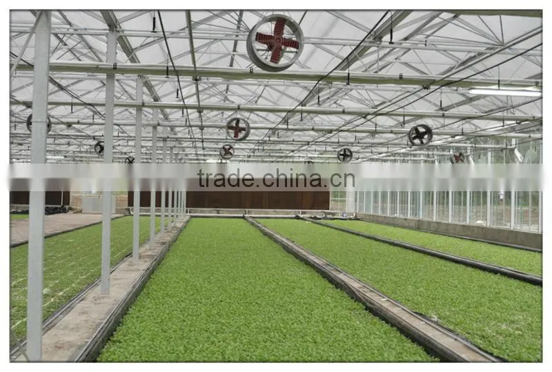 Air circulation system polycarbonate greenhouse