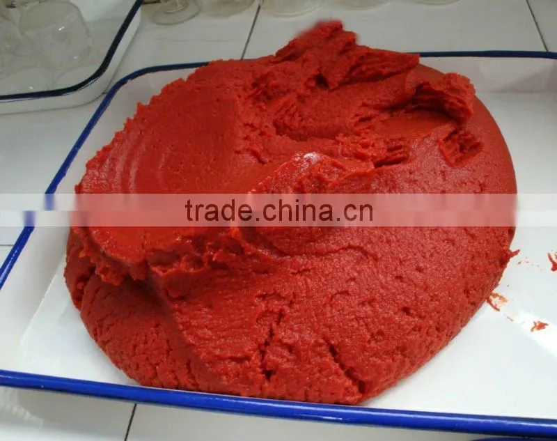 Double Concentrate Canned Tomato Paste