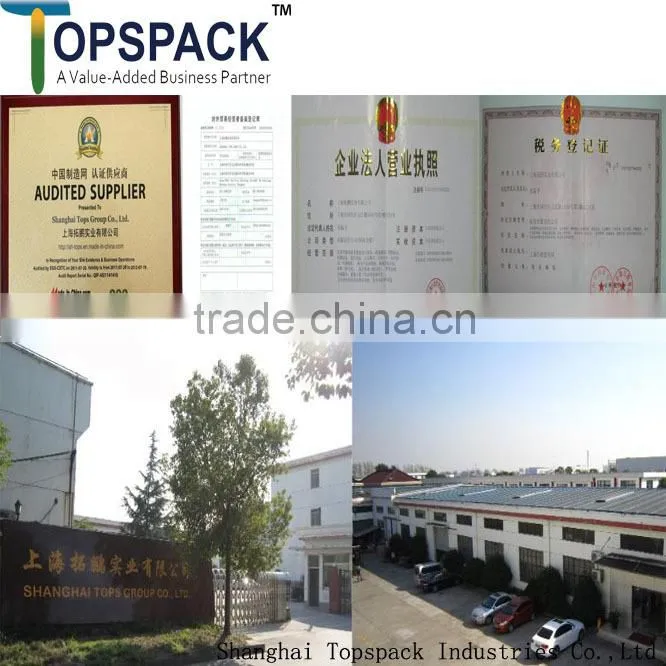 Automatic Weight Packing Machine TP-L300F With Date Printing
