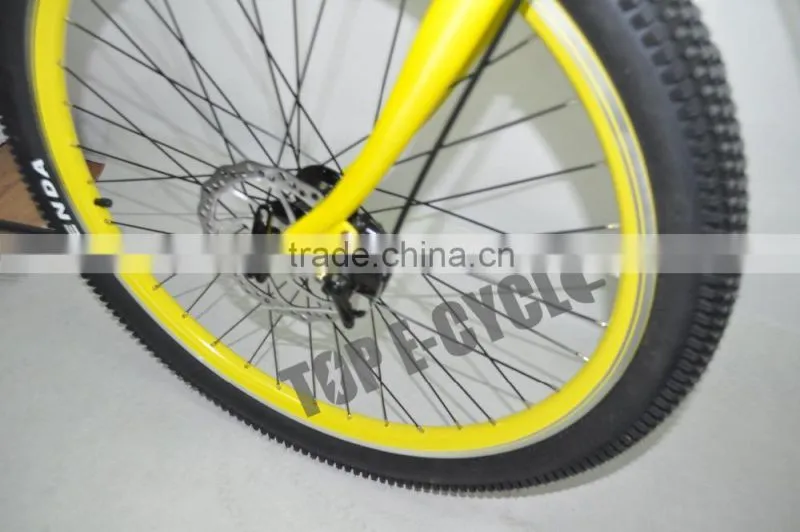 long life Lithium electric bike electric beach cruiser electric bike