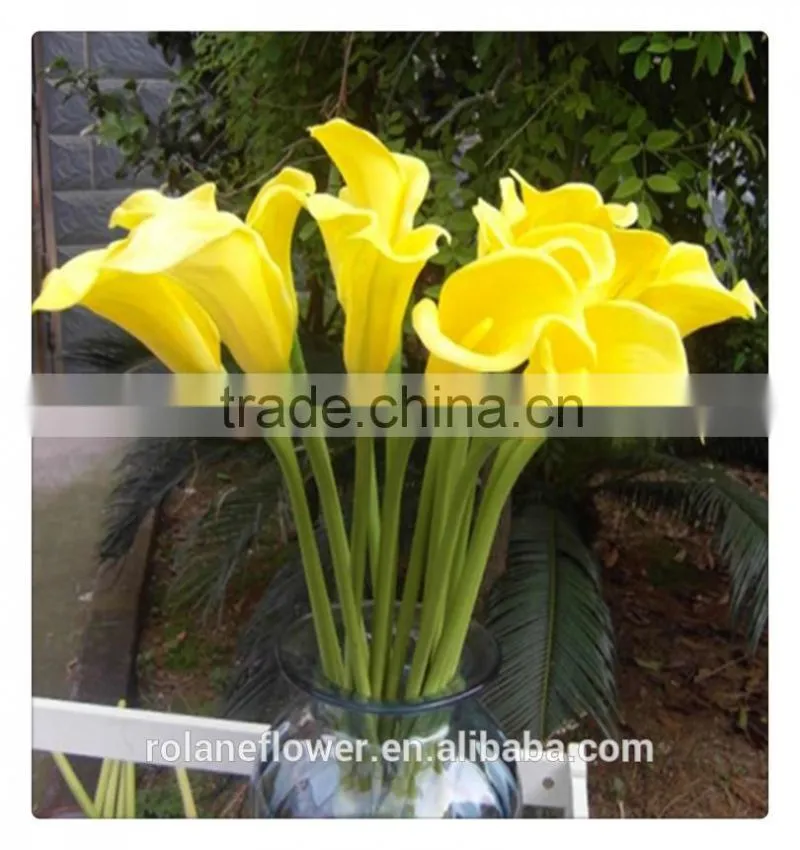 the tipical pura color fresh cut yellow calla lily flower from china