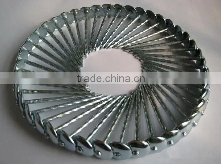 high quality Umbrella head roofing nails