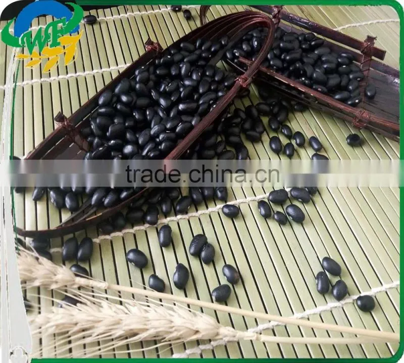 2016 China Black Kidney Beans