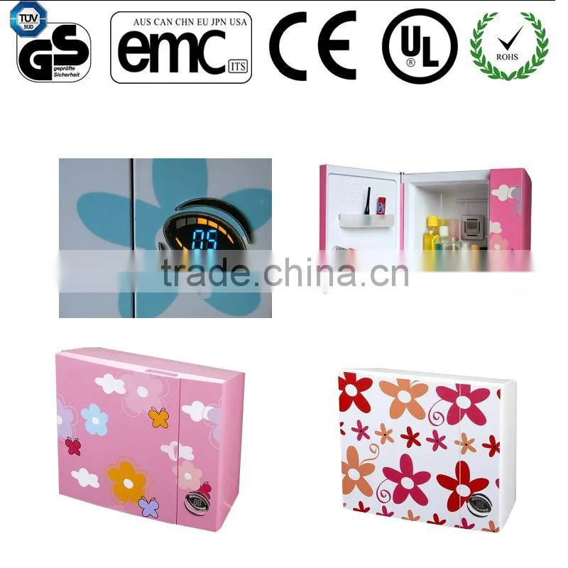 DC 12V mini car fridge CE GS ROHS certification