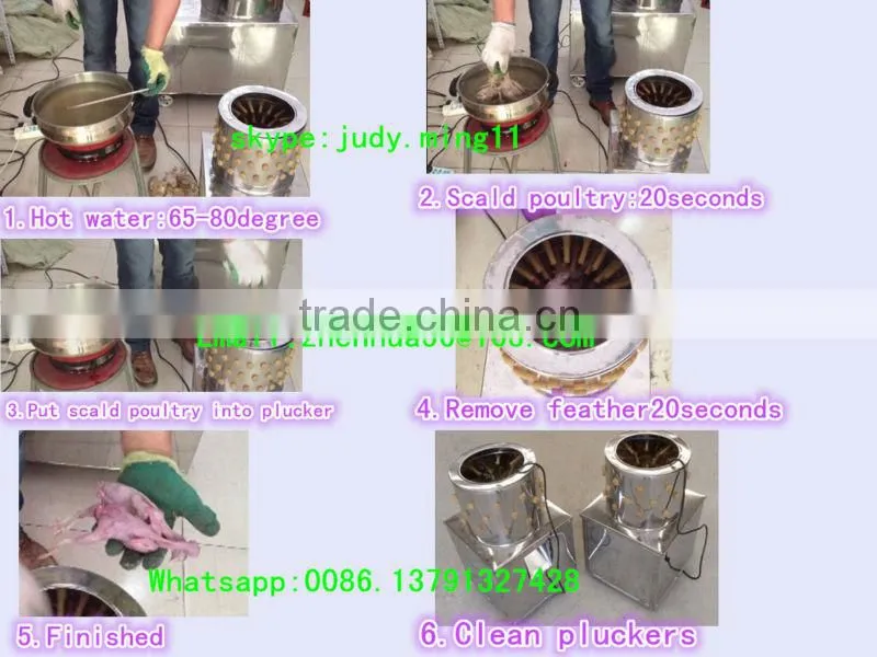 Hot sell! Electric used chicken pluckers for sale with lowest price , plucker ZH-50
