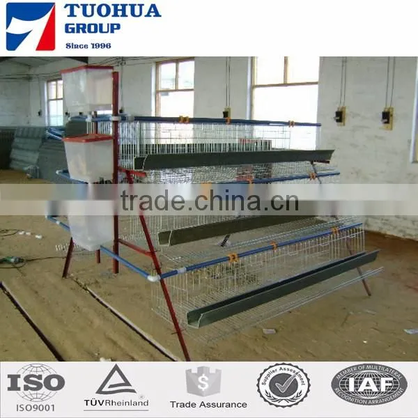 A type egg chicken layer cages,layer poultry cages