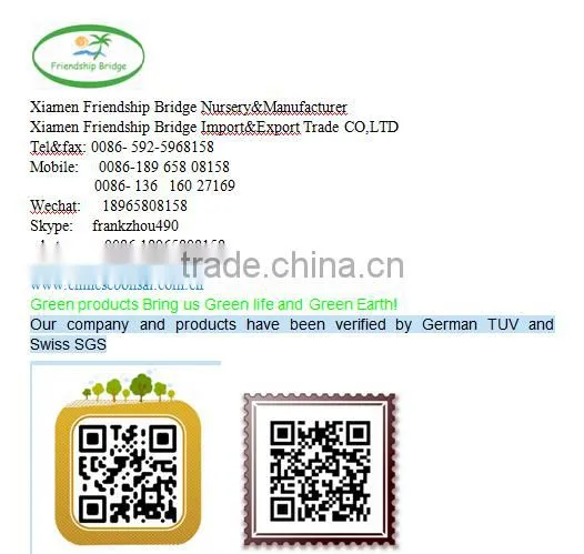 Easy survival putao shu:The grape seedling