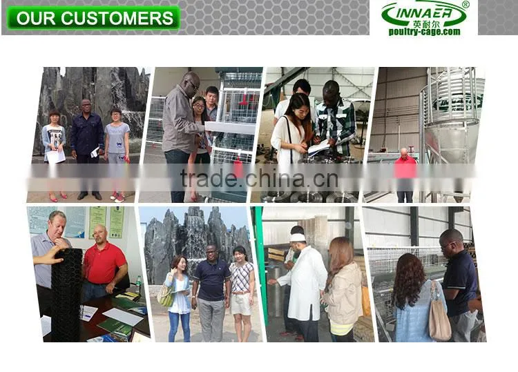 China wholesale Animal Cages for chicken with the feeding system