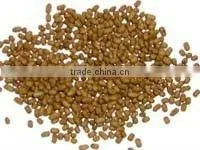 Flowing hot air fish food dryer machine