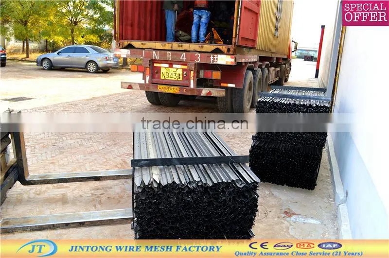 Factory Y fence post/star picket/ fence post/metal fence post